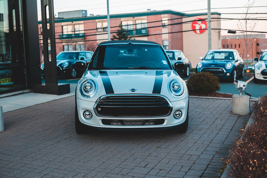 white and black Mini Cooper